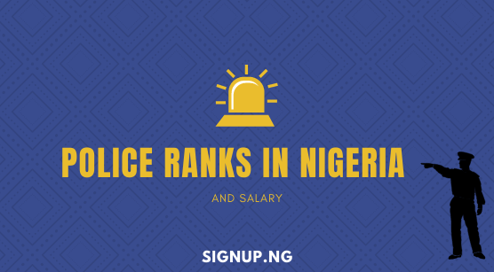 Police Ranks in Nigeria and Salary