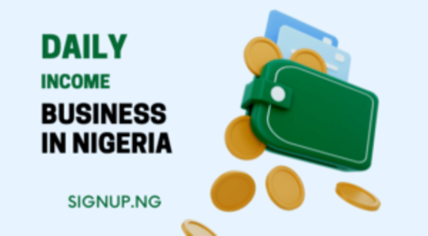 13 Daily Income Business in Nigeria To Make Fast Money From